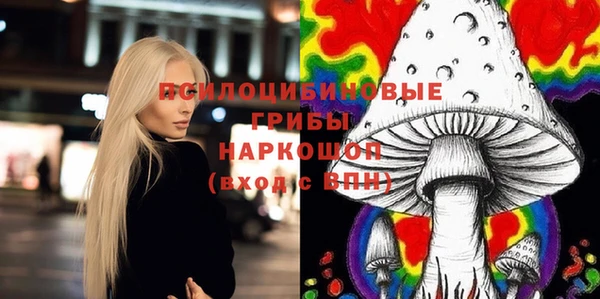 PSILOCYBIN Балабаново