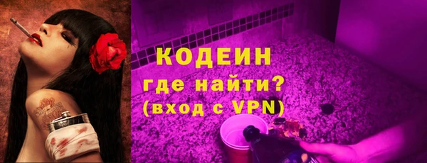 индика Саяногорск