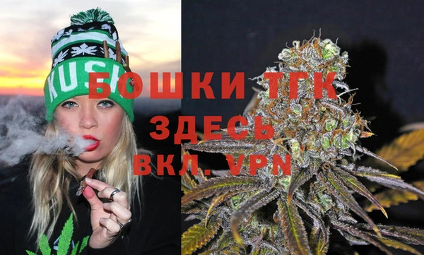 PSILOCYBIN Балабаново