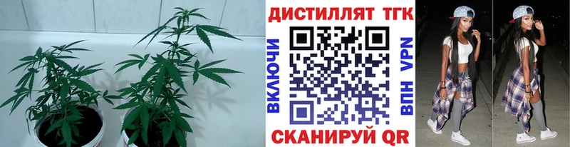 Дистиллят ТГК жижа Гаврилов-Ям