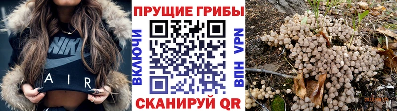 Псилоцибиновые грибы GOLDEN TEACHER  что такое наркотик  kraken как войти  Гаврилов-Ям 