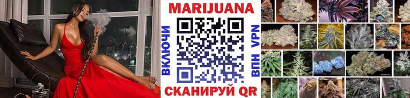 Конопля гибрид  Гаврилов-Ям 